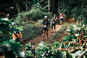 BIB: 
                            <button type="button" onclick="openModal(25856586)" class="btn btn-primary btn-sm float-right btn-popup" data-toggle="modal" data-target=".modal-high-quality">
                        <i class="fas fa-shopping-cart"></i> Add to Cart
                    </button>
                                            <button type="button" onclick="isThisMe(25856586, true)" class="btn btn-success btn-sm float-right btn-popup btn-isme hidden" data-toggle="tooltip" data-placement="bottom" title="นี่คือรูปของคุณใช่ไหม คลิกที่นี่เพื่อเอาเข้าอัลบั้ม">
                        <i class="fas fa-plus"></i> Add to album
                    </button>
                    <button type="button" onclick="isThisMe(25856586, false)" class="btn btn-warning btn-sm float-right btn-popup btn-isnotme hidden">
                        <i class="fas fa-ban"></i> Remove from album
                    </button>